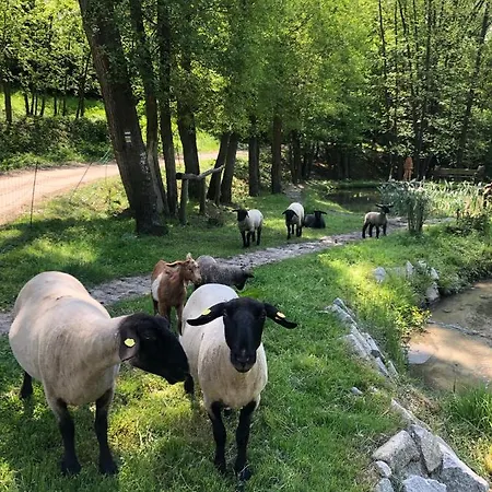 Pensjonat Kamenacka Myslivna Moravany (Hodonin)