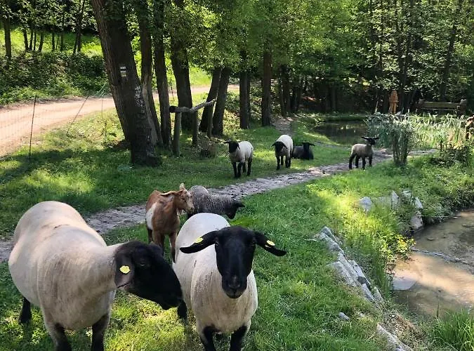 Gæstehus Kamenacka Myslivna Moravany (Hodonin)
